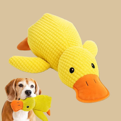 Yellow plush duck on a beige background, with a beagle carrying the toy in its mouth 3