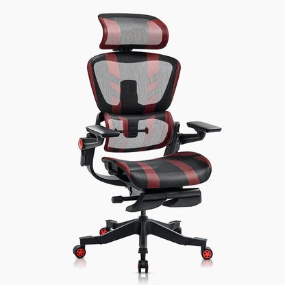 Ergonomic Office Chair with 16 Adjustable Features - ErgoFlex