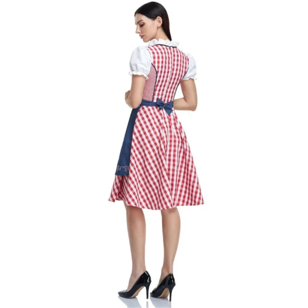 Back view of the red gingham dirndl showing the blue apron tied in a bow at the waist and the checked back bodice. 8