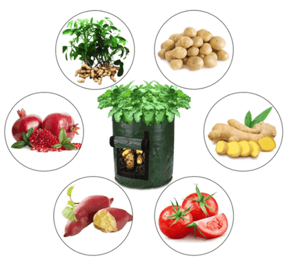 Grow Potatoes at Home: Smart Potato Grow Bag for Patio & Balcony 11