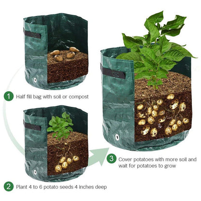Grow Potatoes at Home: Smart Potato Grow Bag for Patio & Balcony 5