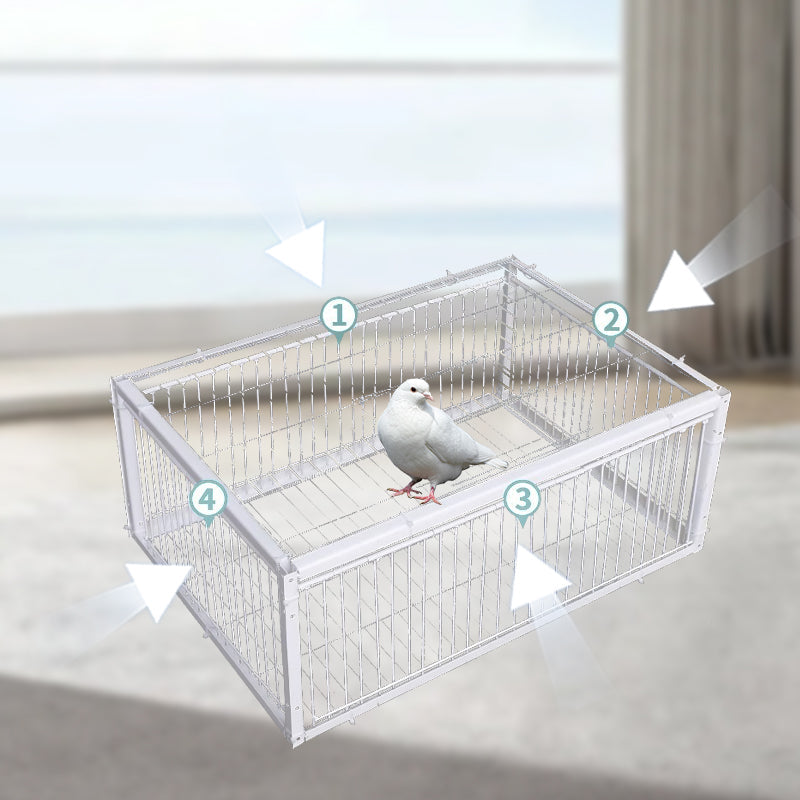 Animal-Friendly Bird Trap with Anti-Backlash Protection – BirdSafe Trap