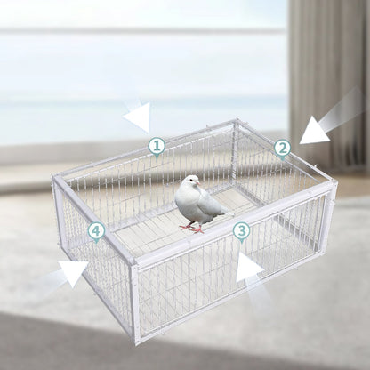 Animal-Friendly Bird Trap with Anti-Backlash Protection – BirdSafe Trap