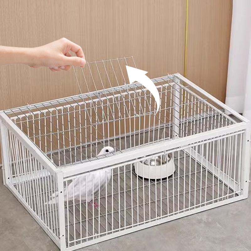 Animal-Friendly Bird Trap with Anti-Backlash Protection – BirdSafe Trap