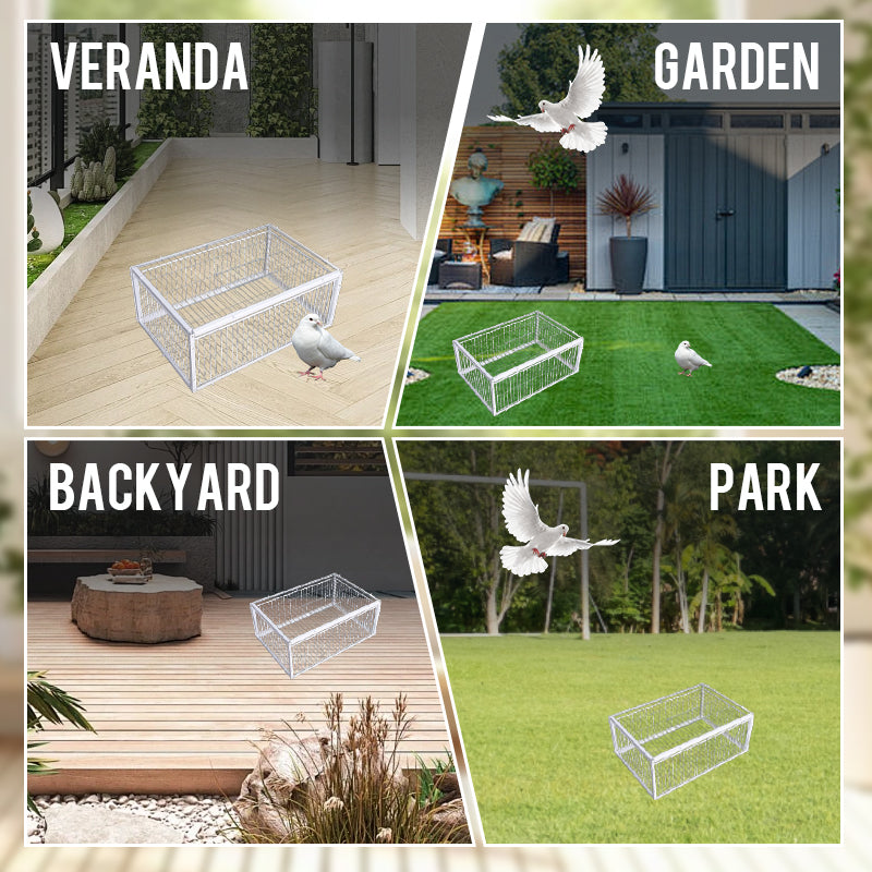 Animal-Friendly Bird Trap with Anti-Backlash Protection – BirdSafe Trap