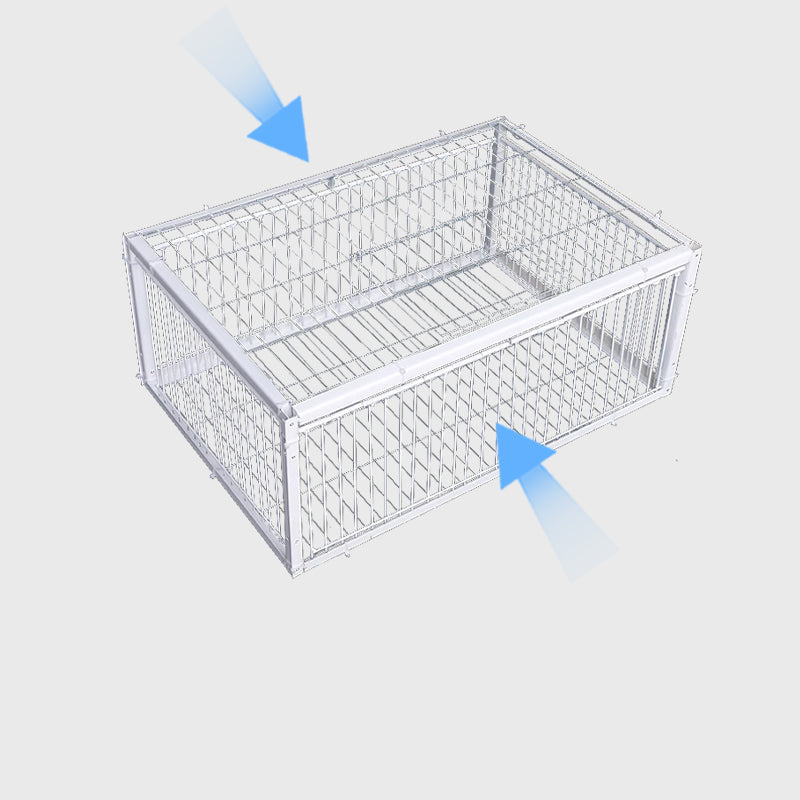 Animal-Friendly Bird Trap with Anti-Backlash Protection – BirdSafe Trap