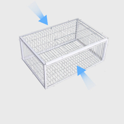 Animal-Friendly Bird Trap with Anti-Backlash Protection – BirdSafe Trap
