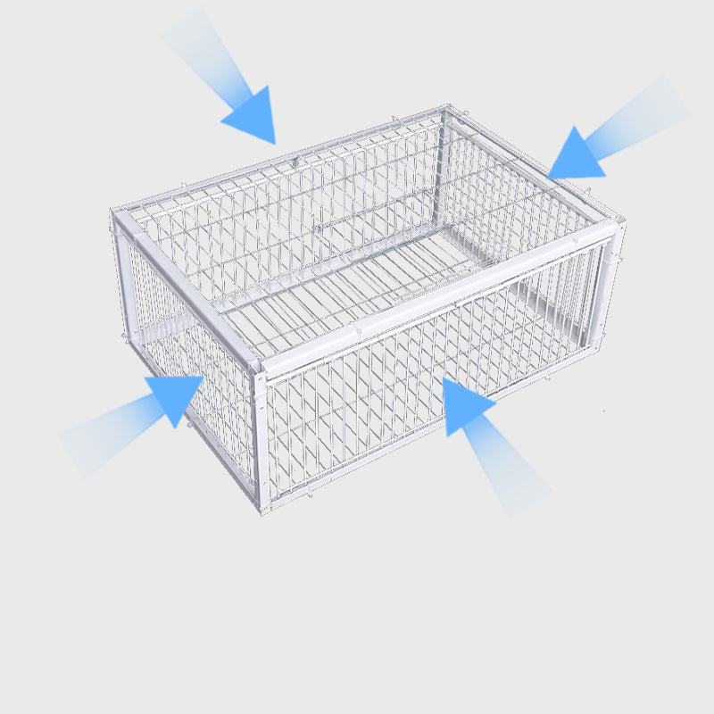 Animal-Friendly Bird Trap with Anti-Backlash Protection – BirdSafe Trap