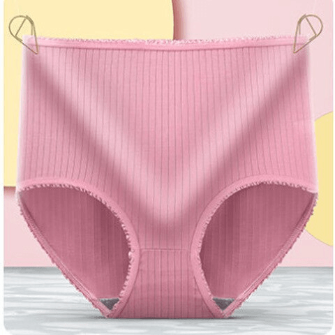Dusky rose ribbed high-waisted brief hung by two gold clips against a pastel backdrop, frilled leg openings visible. 11