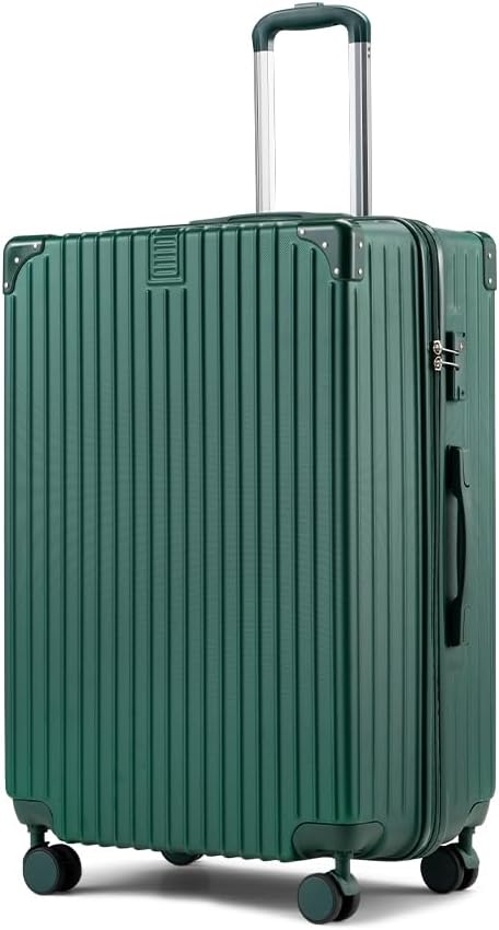 ABS hard-shell suitcase with spinner wheels and TSA lock